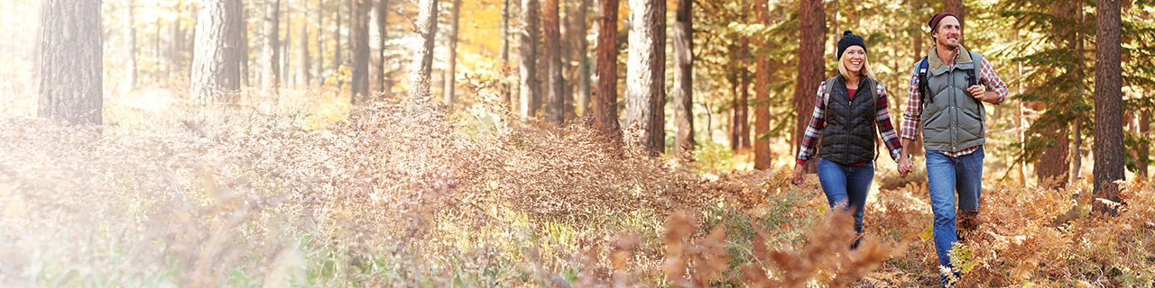 Banner zeigt junges Paar händchenhaltend durch den Wald laufen
